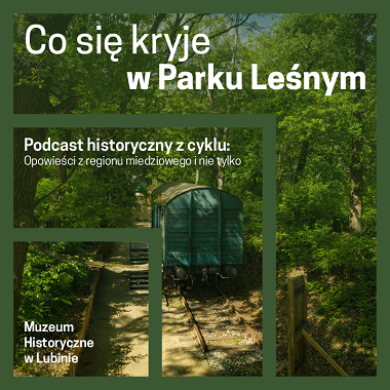 Co się kryje w Parku Leśnym?