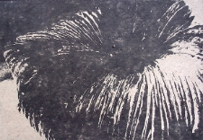 Pierwszy Ogień : Ceramika Młodych