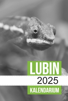 Lubin 2025 : kalendarium