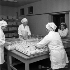 Zakłady Drobiarskie Prochowice i Złotoryja