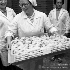 Zakłady Drobiarskie Prochowice i Złotoryja