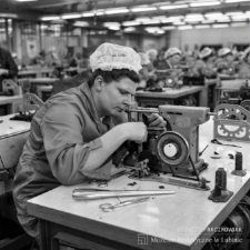 Dolnośląskie Zakłady Białoskórniczo-Rękawicznicze Renifer