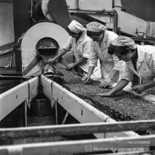 Zakłady Przemysłu Owocowo-Warzywnego w Legnicy