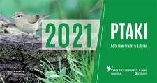 Kalendarz : Ptaki 2021