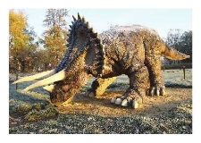 Triceratops