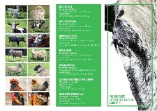 CEP/ZooLubin : Polskie rasy zwierząt gospodarskich : ZooLubin.pl