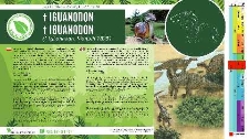 Iguanodon