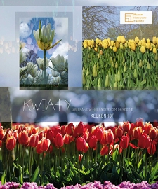 Kwiaty zbierane w holenderskim ogrodzie Keukenhof