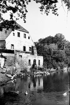 Ulica Dąbrowskiego : zabudowania mieszkalno-gospodarcze nad stawem