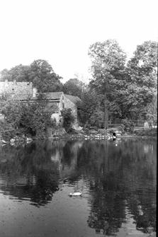 Ulica Dąbrowskiego : obejścia mieszkalno-gospodarcze z mostkiem i drogą przy stawie