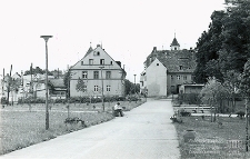 Ulica Pocztowa : widok parku