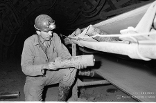 Zakłady Górnicze „Konrad” w Iwinach