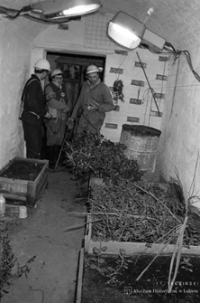 Zakłady Górnicze „Konrad” w Iwinach