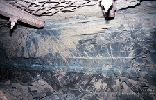 Zakłady Górnicze „Konrad” w Iwinach : Aquakonrad