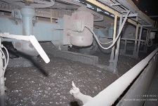 Zakład Wzbogacania Rud przy Zakładach G&oacute;rniczych &bdquo;Rudna&rdquo; : prasa filtracyjna