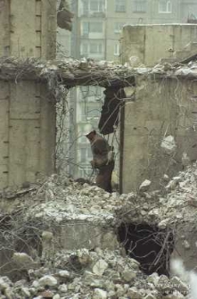 Osiedle Piekary : rozbiórka piętrowego budynku