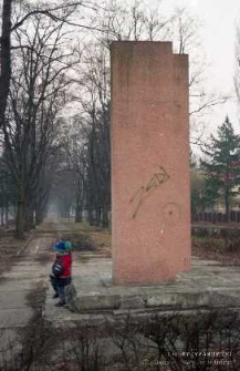 Aleja drzew przy ulicy Grabskiego