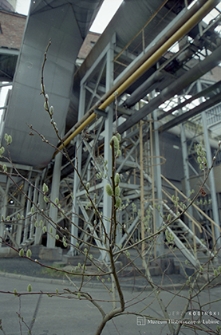 Huta Miedzi „Legnica”