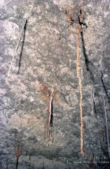 Zakłady G&oacute;rnicze &bdquo;Rudna&rdquo; : wyrobiska g&oacute;rnicze