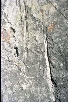 Zakłady Górnicze „Rudna” : wyrobiska górnicze