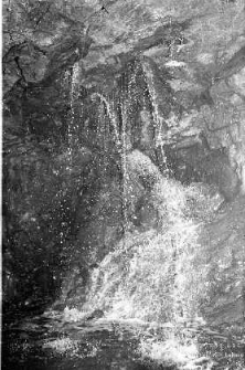 Zakłady G&oacute;rnicze &bdquo;Lubin&rdquo; : prace na przodku