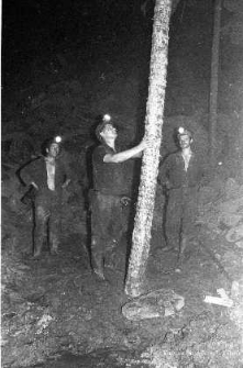 Zakłady Górnicze „Lubin” : prace na przodku