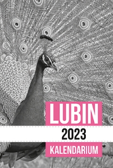 Lubin 2023 : kalendarium