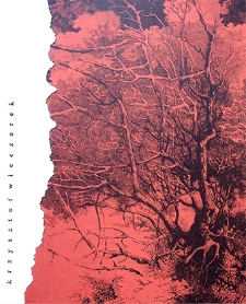 Krzysztof Wieczorek : Portrety chmur