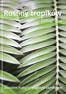 Rośliny tropików