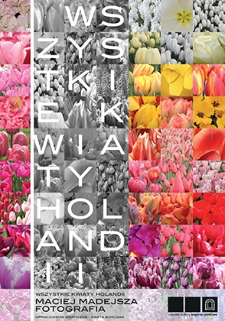 Wszystkie kwiaty Holandii
