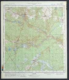 Mapa topograficzna : N-33-139-A : Torzym